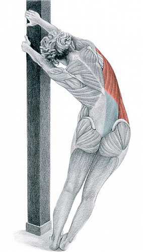 esercizi stretching dorsali sbarra
