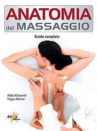 Massage Anatomy 