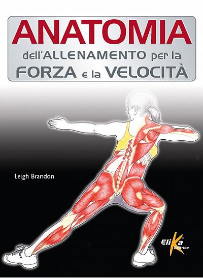 Anatomia dell'allenamento per la forza e la velocità