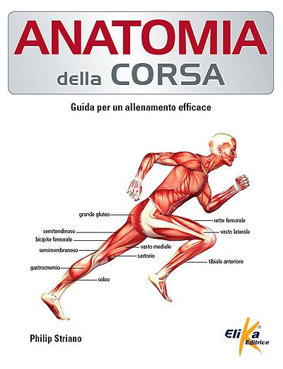 Anatomia della corsa 