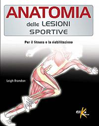 Anatomy of Sport Injuries 