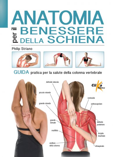Anatomia per il benessere della schiena 