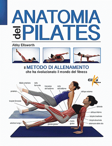 anatomia del pilates