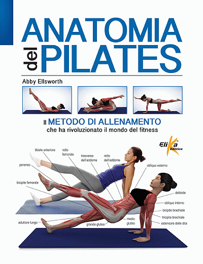 Anatomia del pilates 