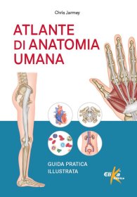 Atlante di anatomia umana Guida pratica illustrata