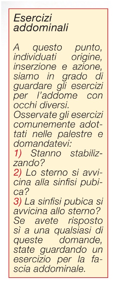 esercizi addominali 5 esercizi addominali 5