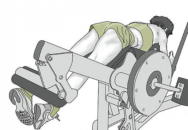leg curl