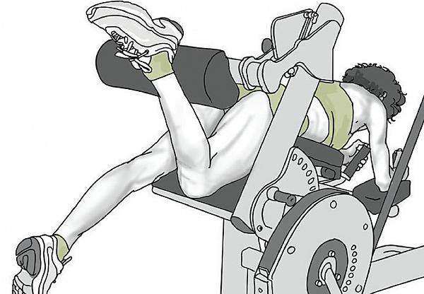 leg curl