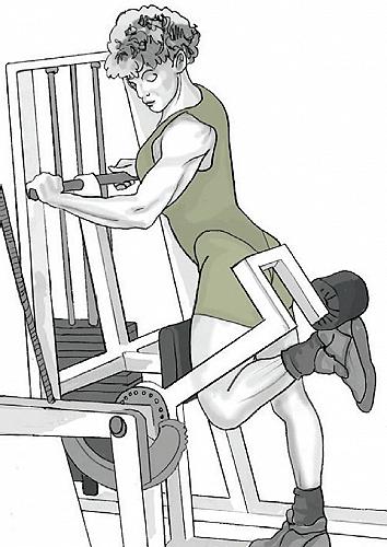leg curl