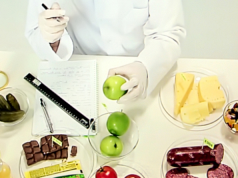 L'assunzione di additivi tramite l'alimentazione e i loro effetti