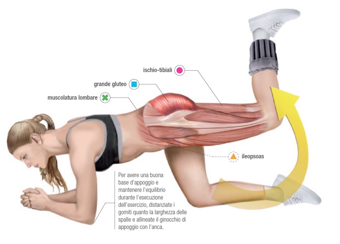 I 3 Esercizi Top Per Allenare I Glutei Onsport Center