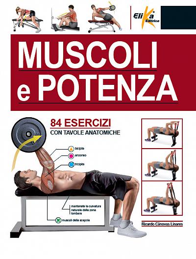 muscoli e potenza muscoli e potenza