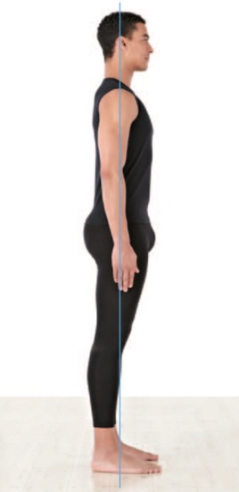 pilates postura eretta corretta pilates postura eretta corretta