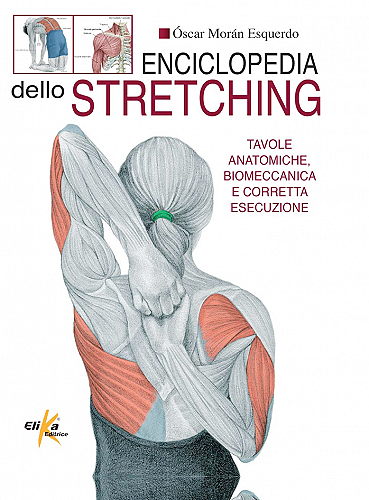 enciclopedia dello stretching