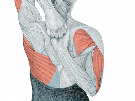 Esercizi di Stretching per l'allungamento dei dorsali
