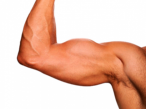 Tipi di contrazione muscolare nel fitness