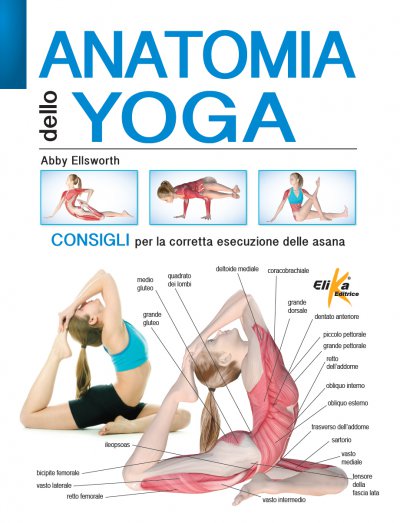 Anatomy of Yoga 